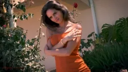 Adele Taylor at Hayley's Secrets | Astonishing