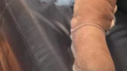 Jasmine Jones at Worship Jasmine | I wear my comfy uggs all the time and tonight is no different.  I have been wearing these all day and my feet are all nice and hot now.  So you really are a lucky little pet aren't you as I allow you to worship them all over as I instruct of course.